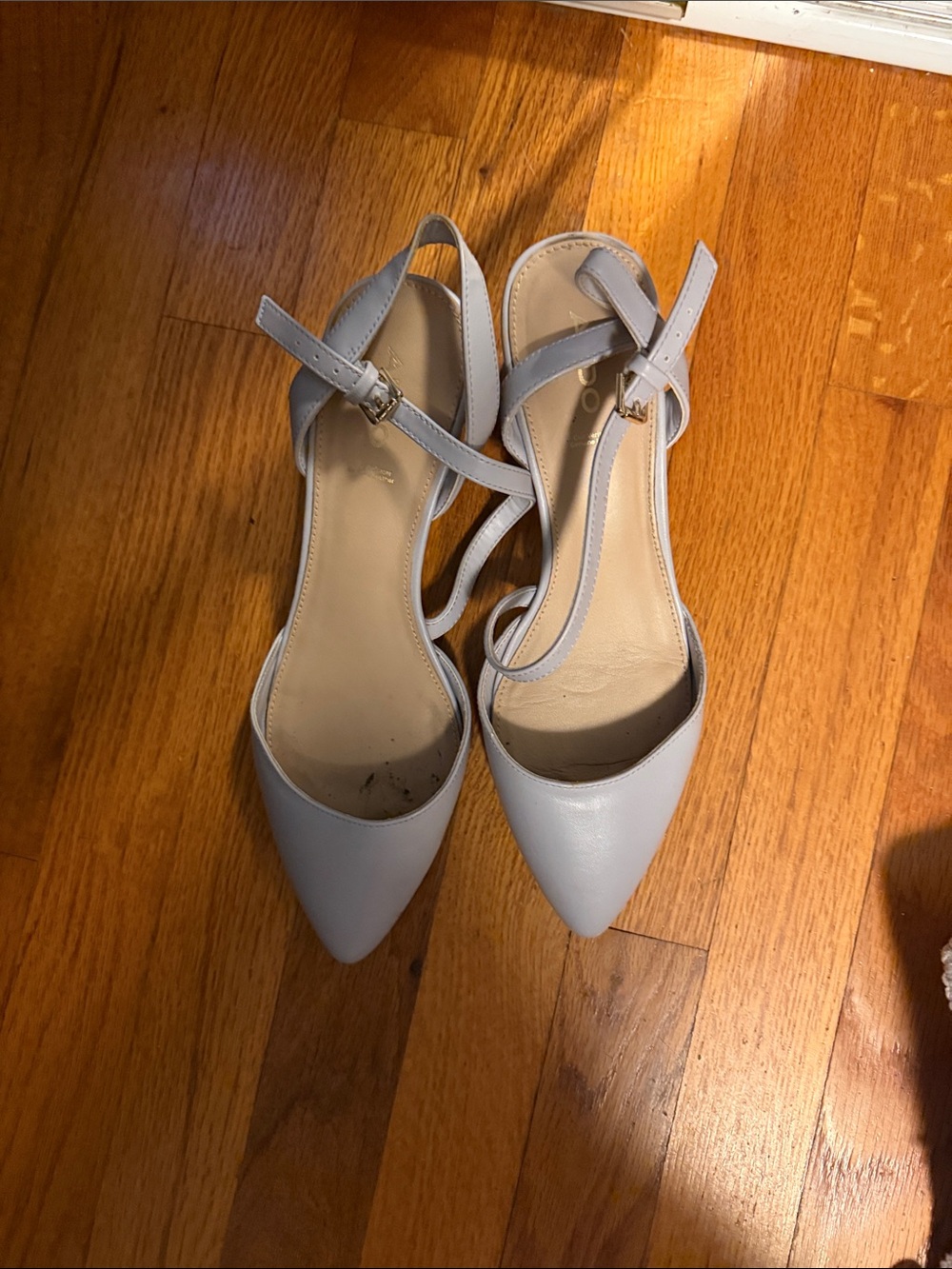 Aldo Women's Pointed Toe Ankle Strap Flats in Light Gray